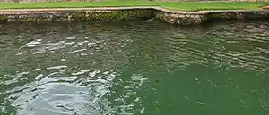 Lake Austin bass fishing