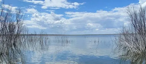 Lake O.H. Ivie bass fishing