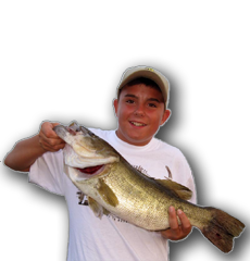 Nice Big Fayette Bass Nice Big Fayette Bass